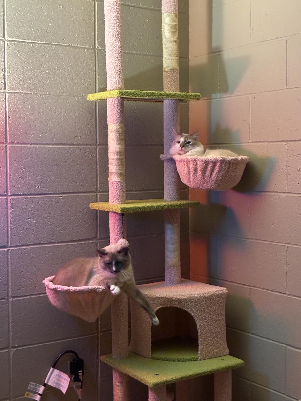 PAWZ Road Floor to Ceiling Cat Tree, 85–112