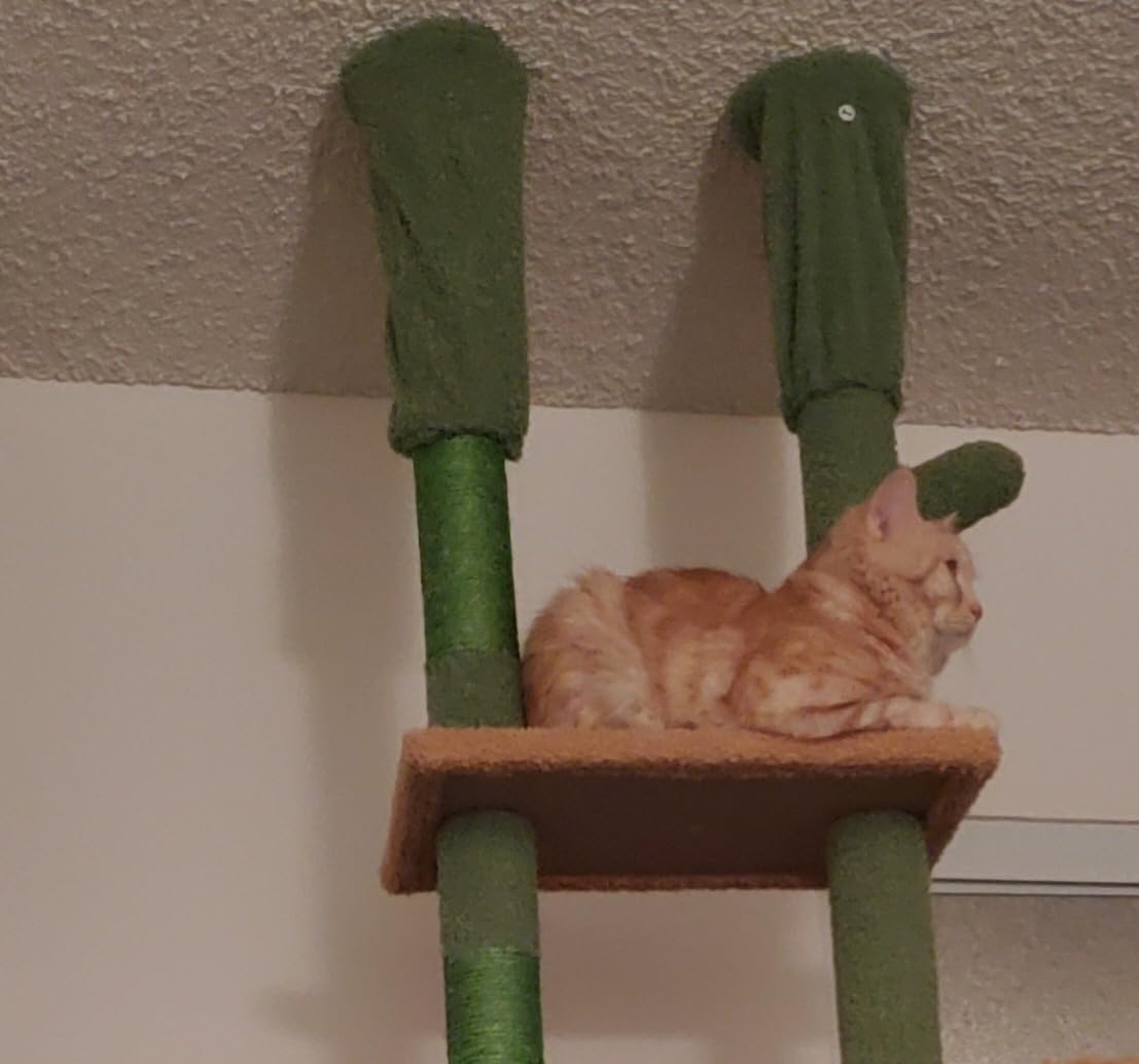 PAWZ Road Floor to Ceiling Cat Tree, 85–112