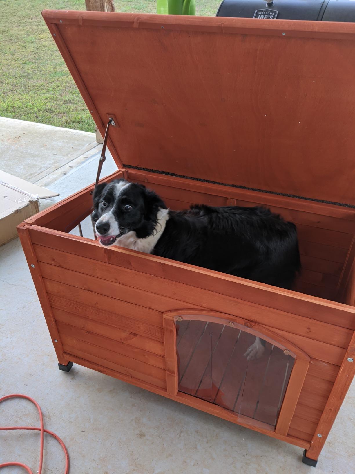 Insulated Dog House for Outside, Weatherpoof Dog House Outdoor Indoor customer photo 2