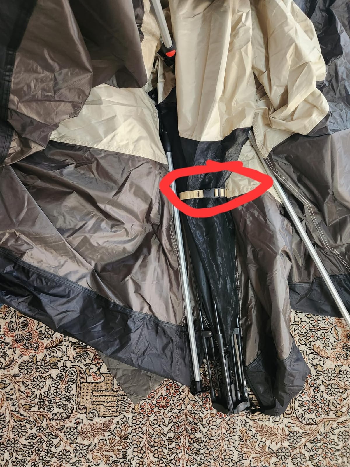 4 Person Instant Tents for Camping Setup in 50s, Cabin Tent with Rainfly customer photo 1