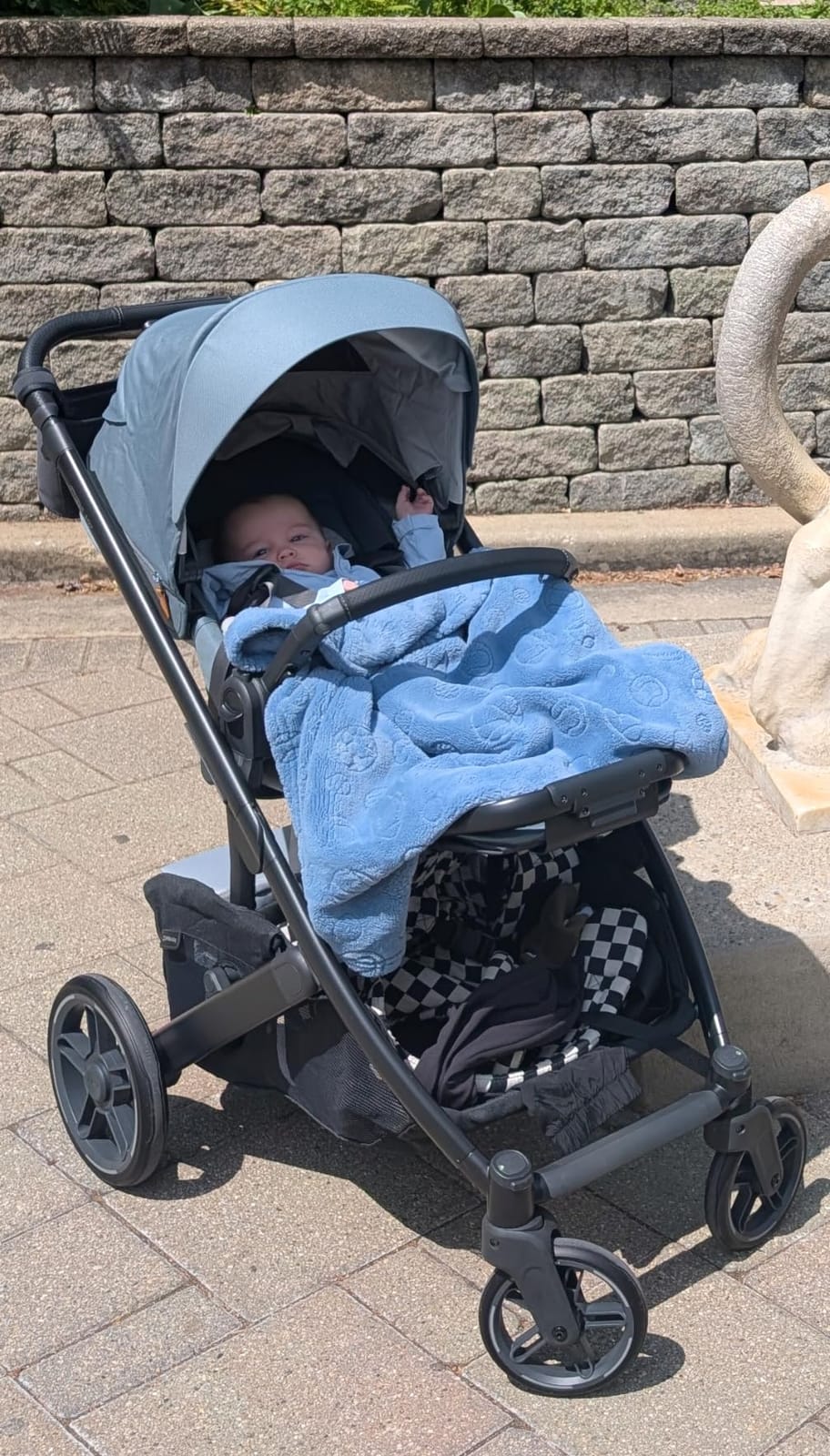 UPPAbaby Cruz V3 Full-Size, from Birth, Car Seat Compatible - Ada customer photo 2