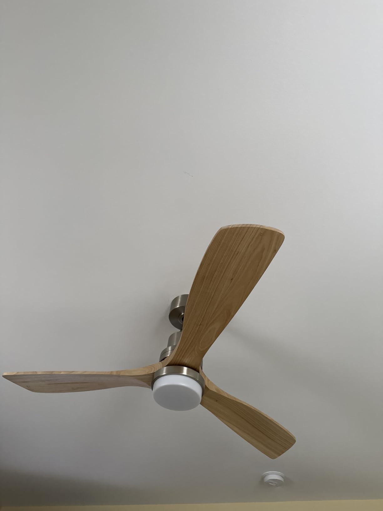 Sofucor 60 Inch Smart Ceiling Fan with Lights, 3 ABS Blade, Indoor/Outdoor customer photo 1