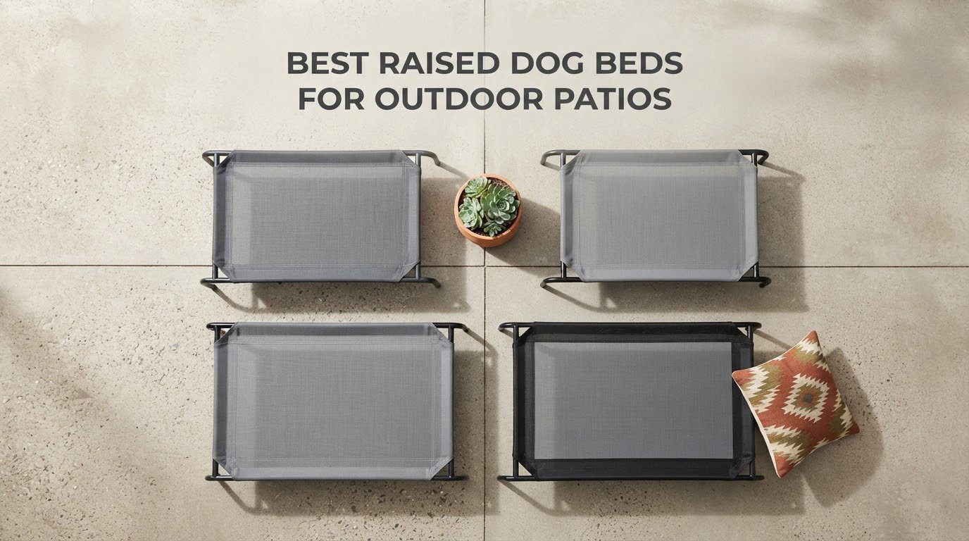 best raised dog beds for outdoor patios